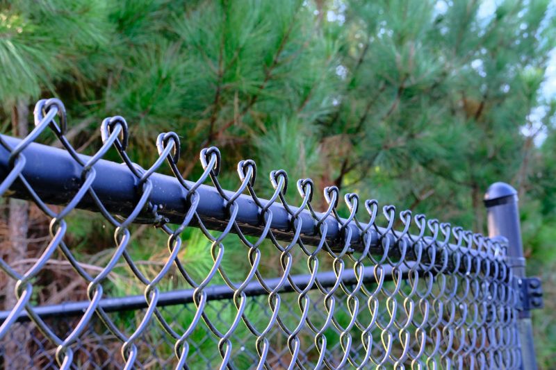 Chain Link with Privacy Slats